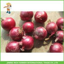 Best Price High Quality Fresh Red Onion